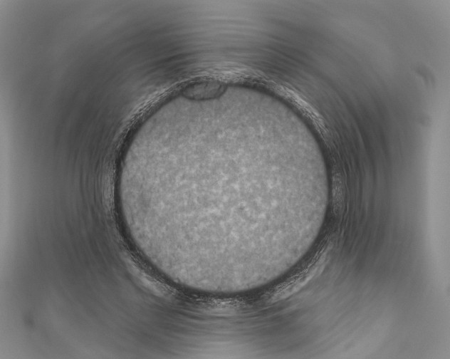 X0000110700493200907241128