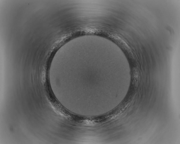 X0000110700496200907241128