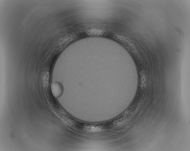 X0000110700498200907241128