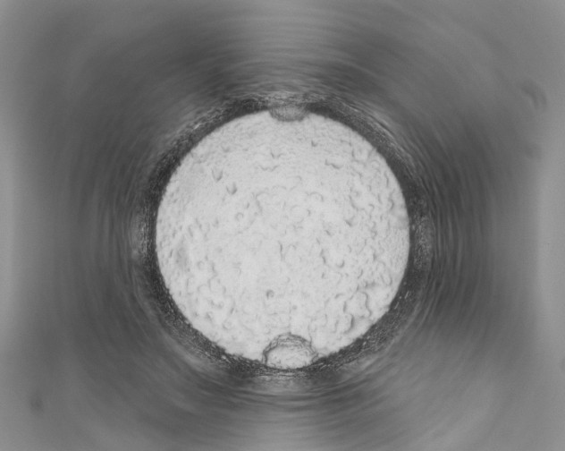 X0000110700499200907241128
