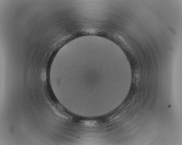 X0000110700500200907241128