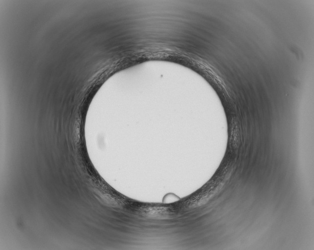 X0000110700501200907241128
