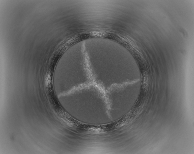 X0000110700502200907241128