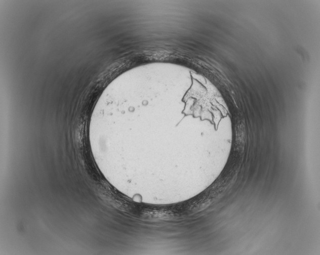X0000110700503200907241128
