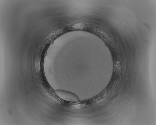 X0000110700504200907241128