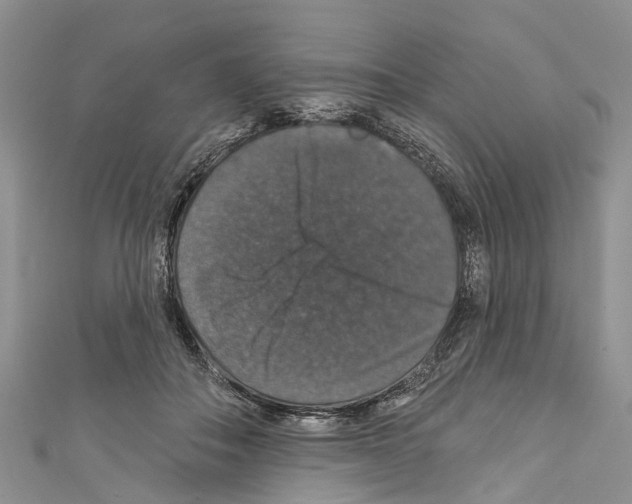 X0000110700506200907241128
