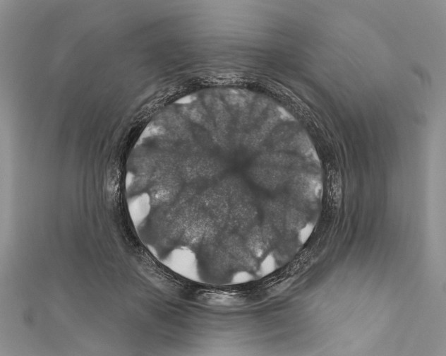 X0000110700507200907241128
