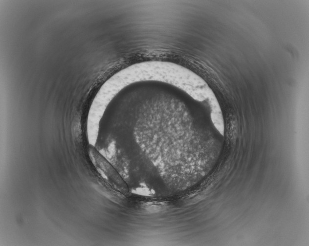 X0000110700508200907241128