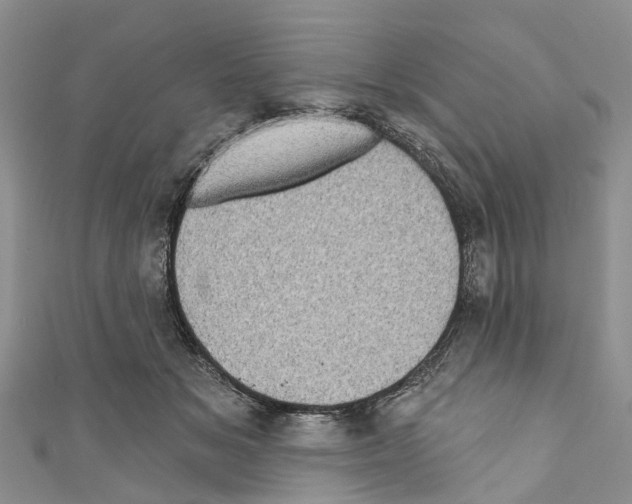 X0000110700509200907241128