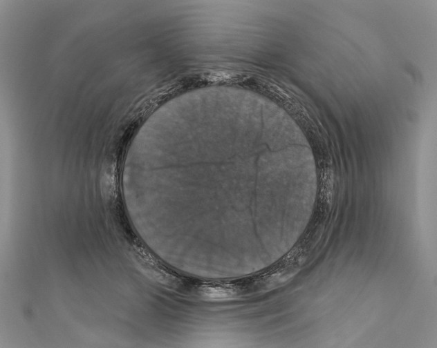 X0000110700510200907241128
