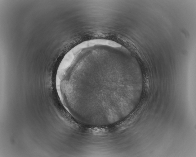 X0000110700512200907241127