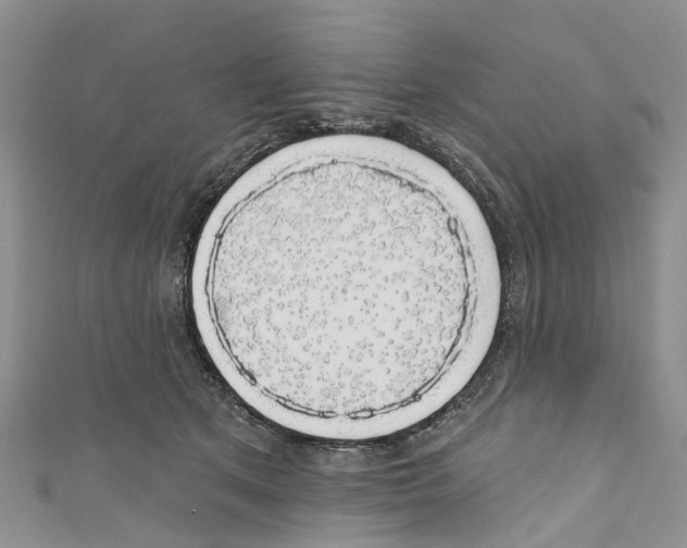 X0000110700513200907241127