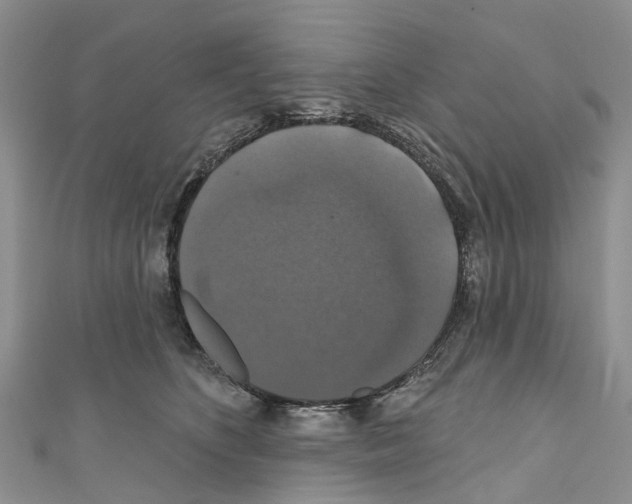 X0000110700516200907241127