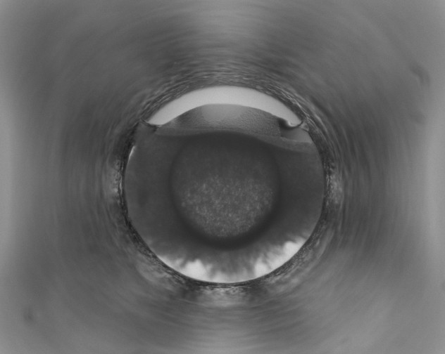 X0000110700517200907241127