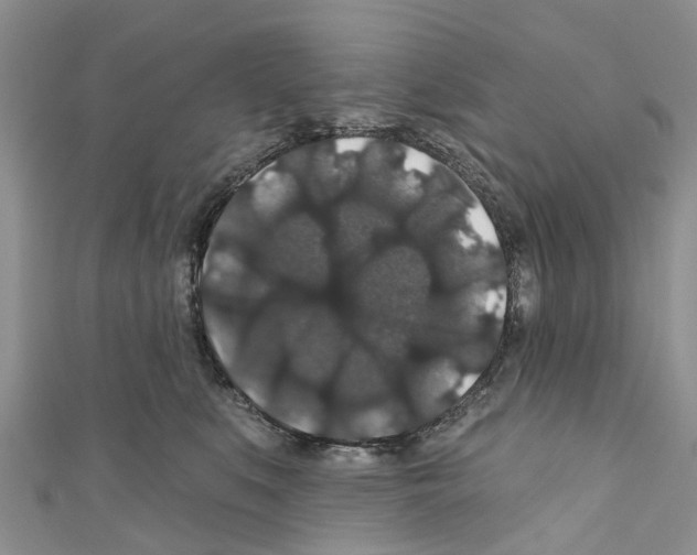 X0000110700519200907241127