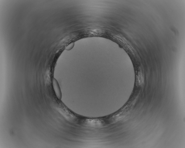 X0000110700520200907241127