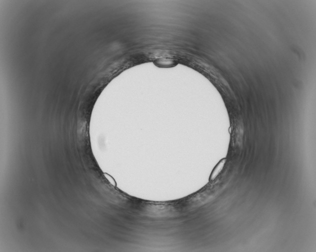 X0000110700521200907241127