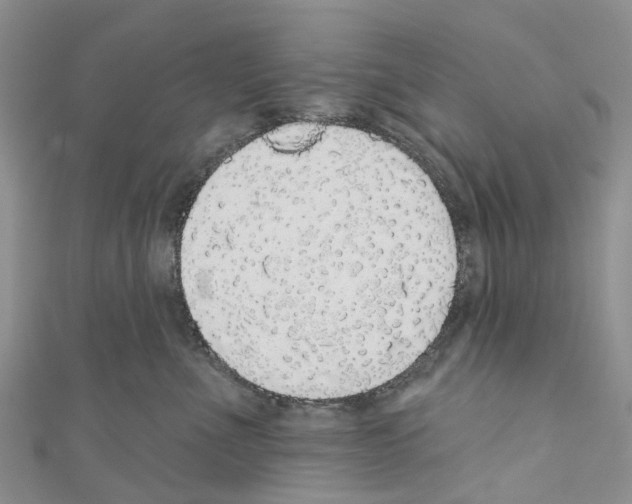 X0000110700523200907241127
