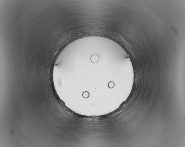 X0000110700524200907241127