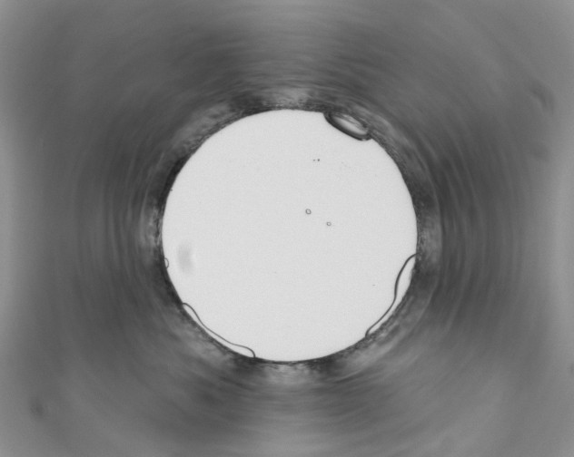 X0000110700525200907241127