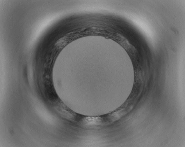 X0000110700526200907241127