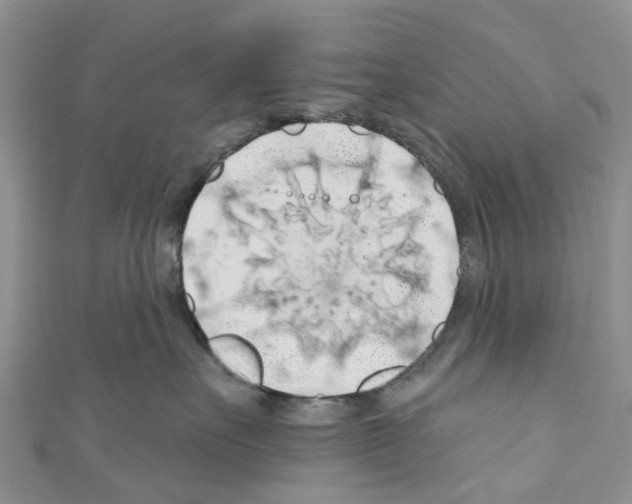 X0000110700527200907241127