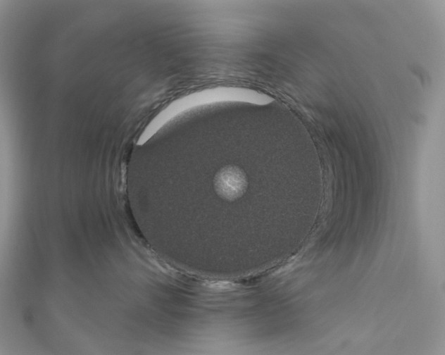 X0000110700528200907241127