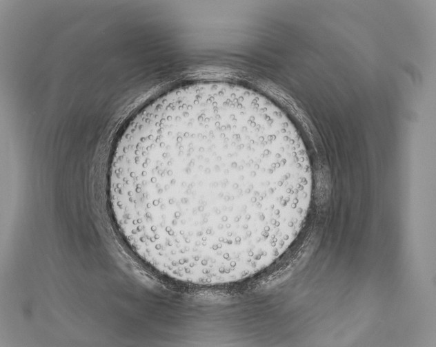 X0000110700529200907241126