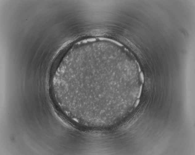 X0000110700530200907241126