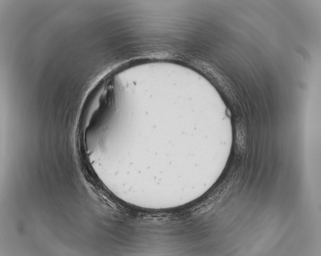 X0000110700532200907241127