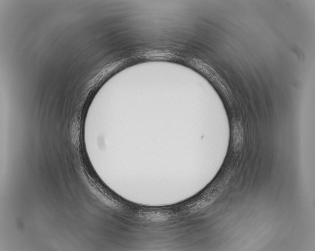 X0000110700533200907241127