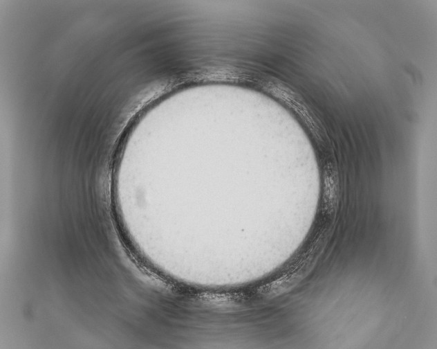 X0000110700534200907241127
