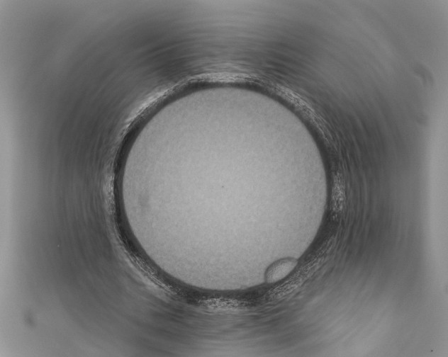 X0000110700535200907241127