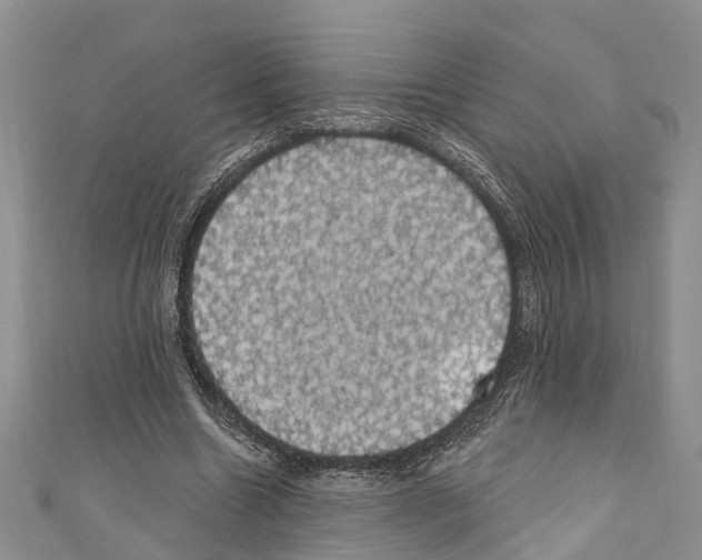 X0000110700538200907241127