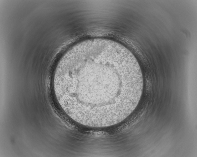 X0000110700539200907241127