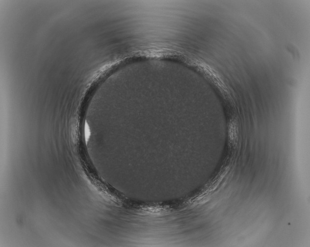 X0000110700540200907241127