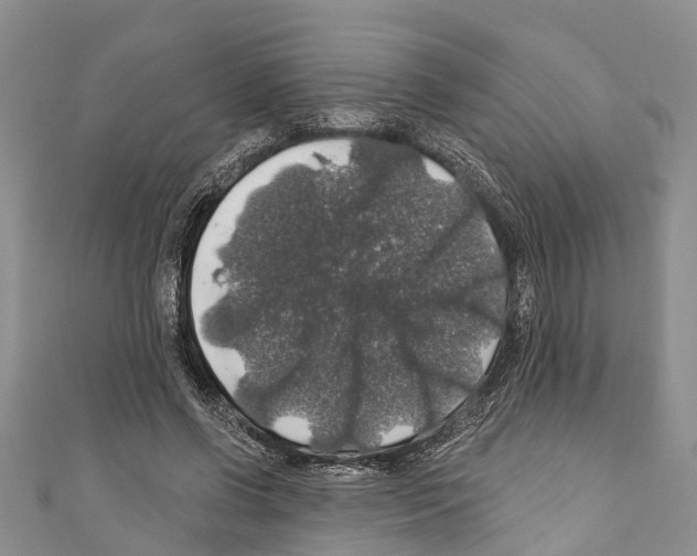 X0000110700542200907241127