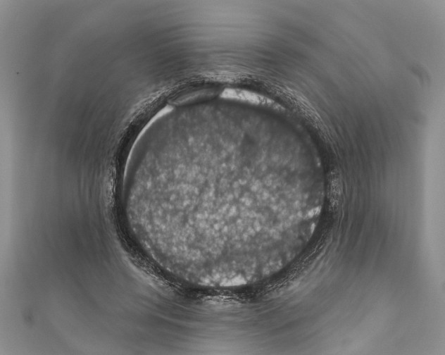 X0000110700544200907241127