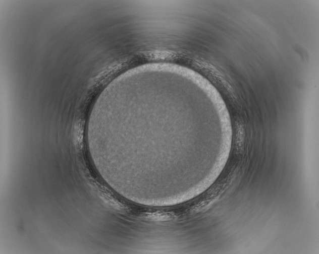 X0000110700545200907241127