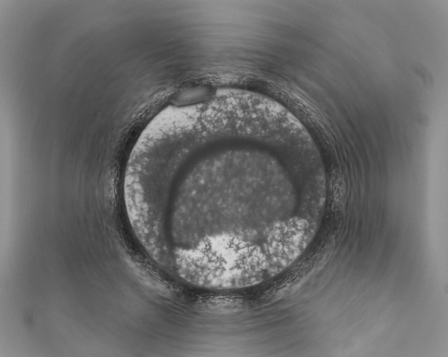 X0000110700546200907241127