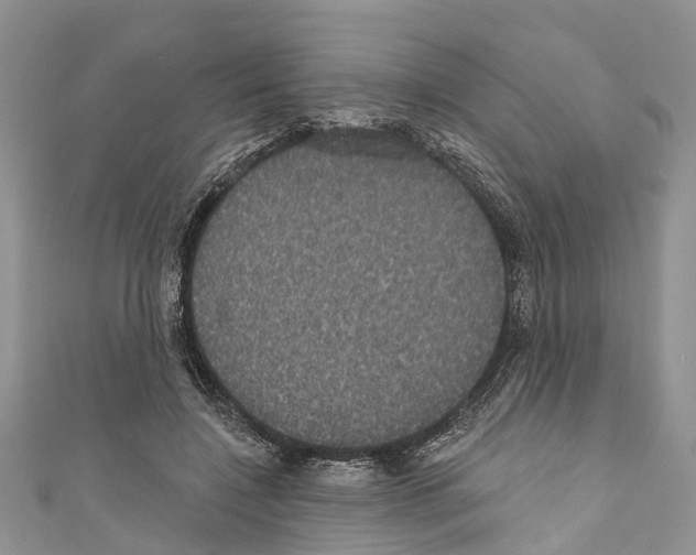 X0000110700548200907241127