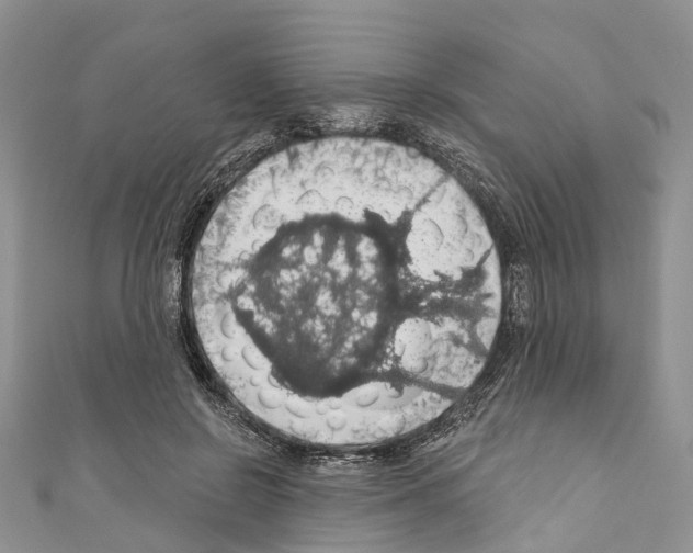 X0000110700550200907241127