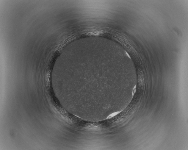 X0000110700551200907241127