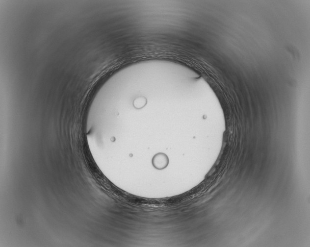 X0000110700552200907241127