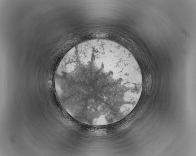 X0000110700553200907241127