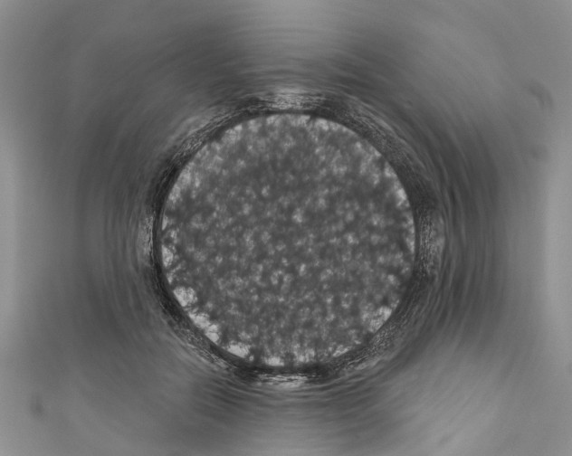 X0000110700554200907241127