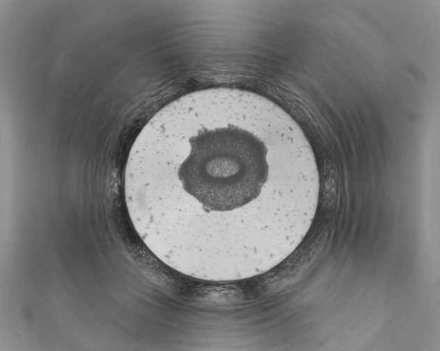 X0000110700555200907241127