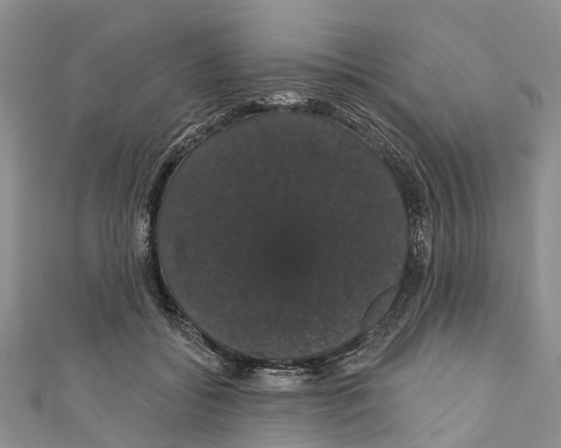 X0000110700556200907241127
