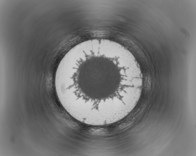X0000110700557200907241127