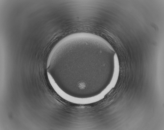 X0000110700558200907241127